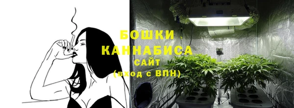 соль ск Ладушкин