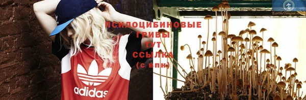 соль ск Ладушкин